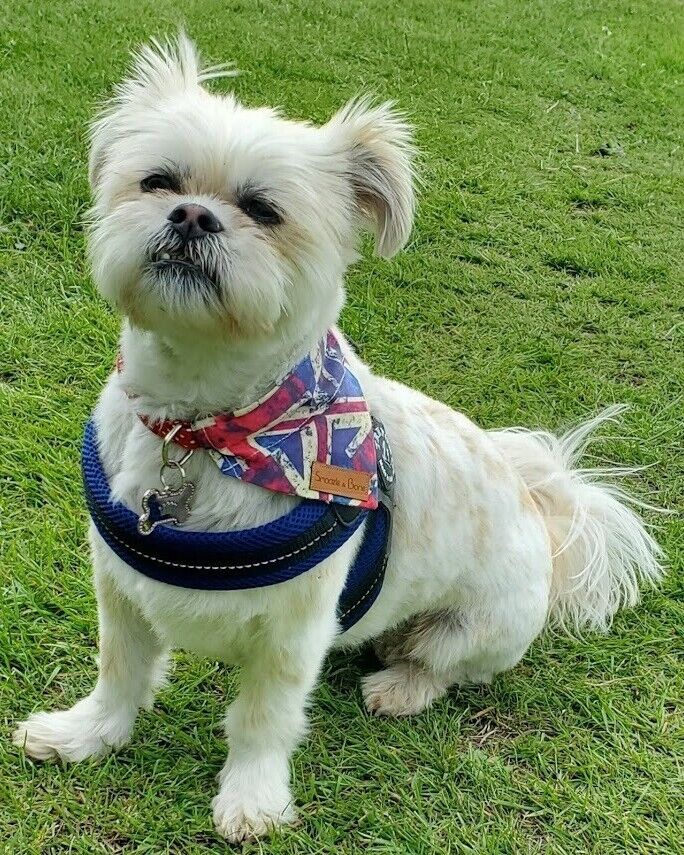 Meet the Team: Lori Hoy, Digital Marketing Manager