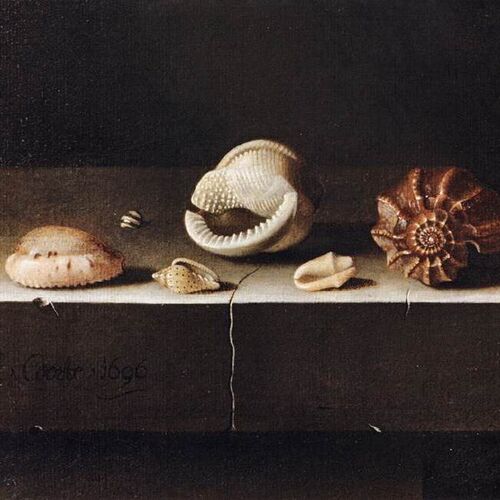 Five Shells on a Slab of Stone
