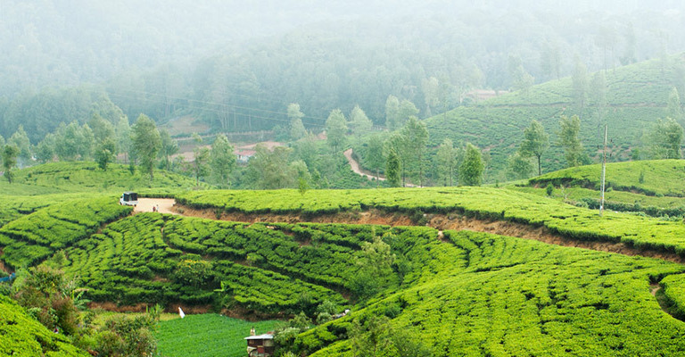 Sri Lanka Luxury Holidays