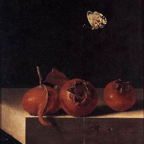 Three Medlars with a Butterfly
