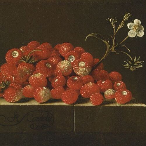 Wild Strawberries on a Ledge