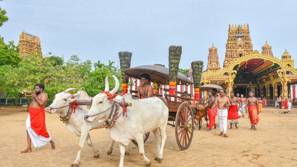 நல்லூர் கந்தசுவாமி ஆலயத்தின் வருடாந்தப் பெருந்திருவிழா