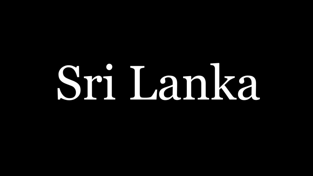 ஒற்றுமையால் ஒருங்கிணையும் இலங்கை - செல்வம் அடைக்கலநாதன்