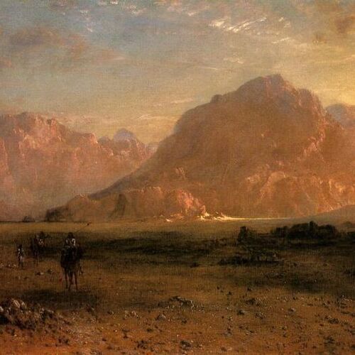 The Arabian Desert