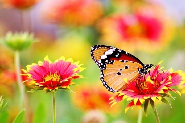 *DIG THIS AUGUST 2022*