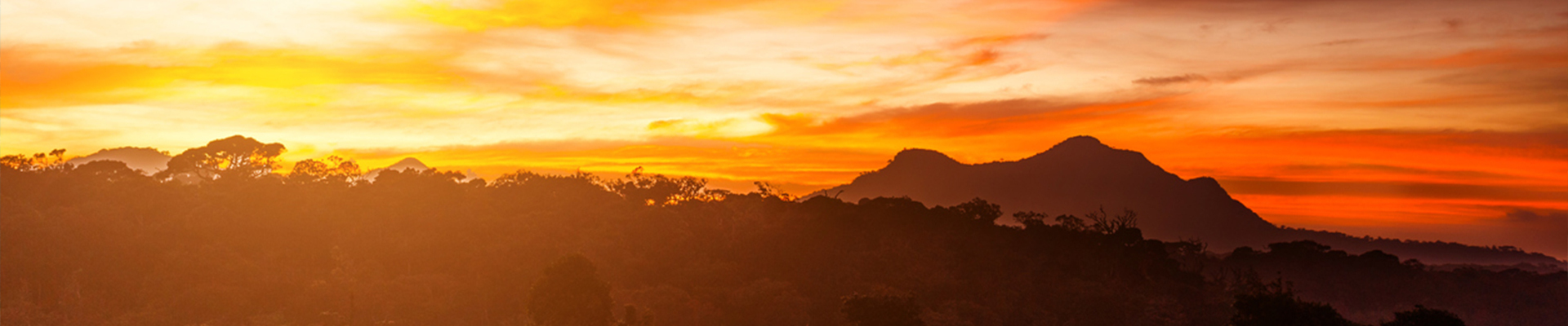 Sri Lanka Luxury Holidays