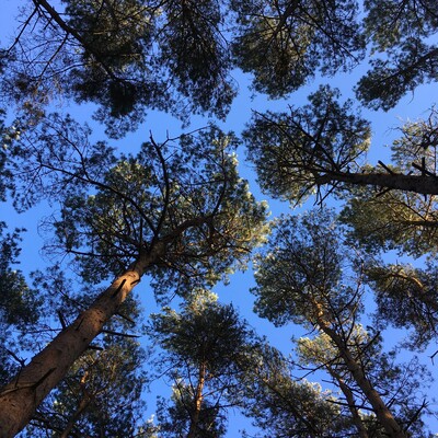 Private Practice Coaching