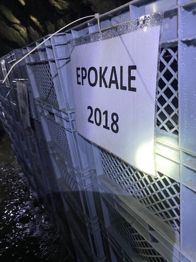 Gold in the Silver Mine