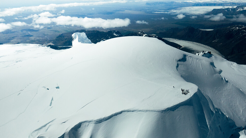 Company details, terms and conditions