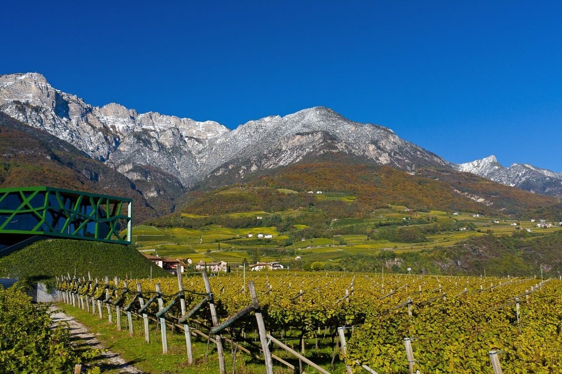 Gold in the Silver Mine