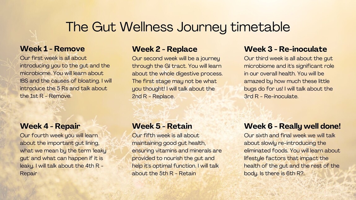 Gut Wellness Journey