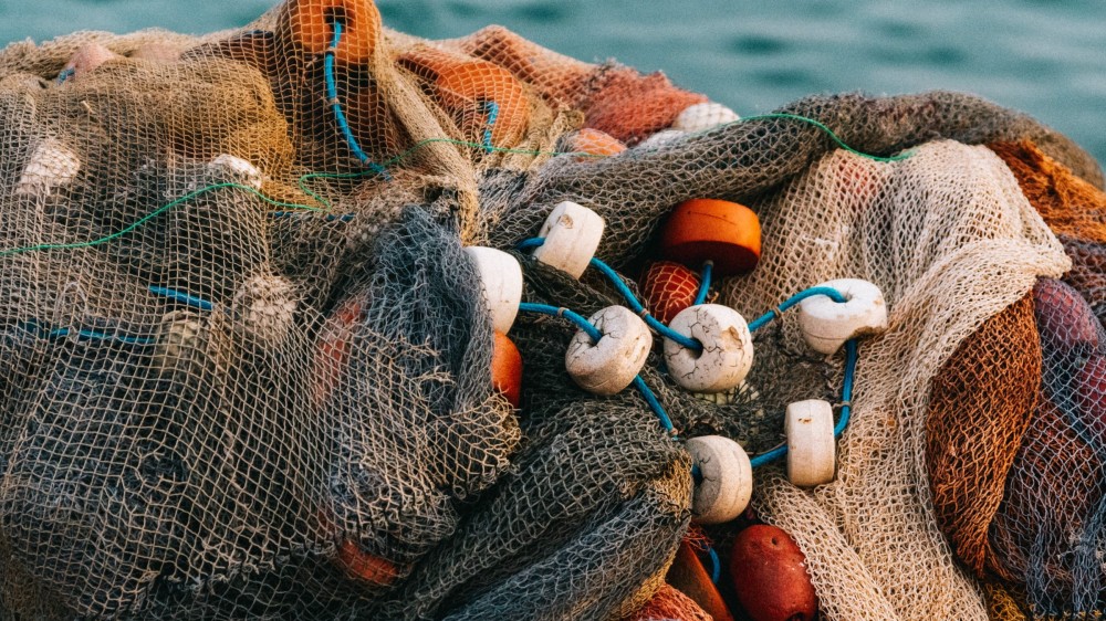 கொலானாவிலிருந்து கூடிய விலைக்கு எரிபொருளை கொண்டுவர ஆலோசனை