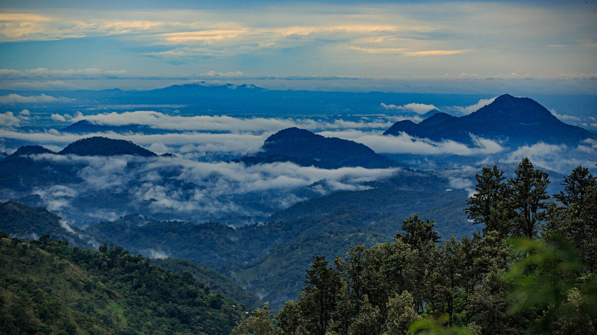 The Kandy to Ella by train