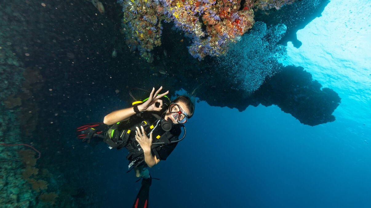 Diving & Snorkelling