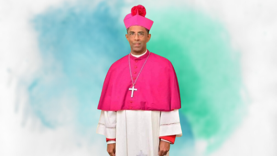 உலகத்திற்கே சவாலாக உள்ள அரக்கு பாம்பினை அழிக்க மரியன்னையிடம் வேண்டுவோம் - ஆயர்