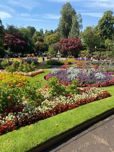 *DIG THIS SEPTEMBER 2022*