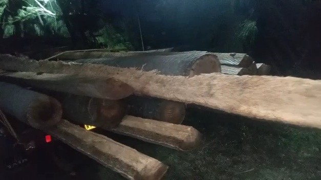 அனுமதிப்பத்திரமின்றி பனைமரங்களை ஏற்றிவந்தவர் கைது