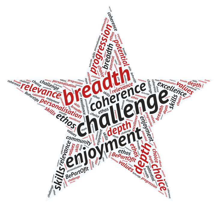 Curriculum Rationale