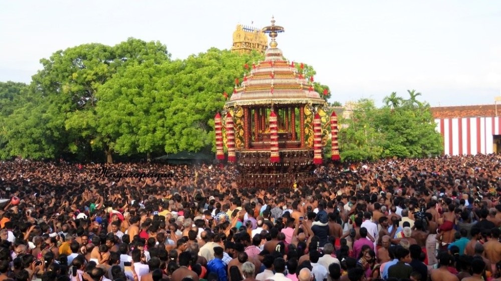 லட்சக்கணக்கான பக்தர்கள் புடைசூழ தேரேறி வந்தான் அலங்காரக் கந்தன்