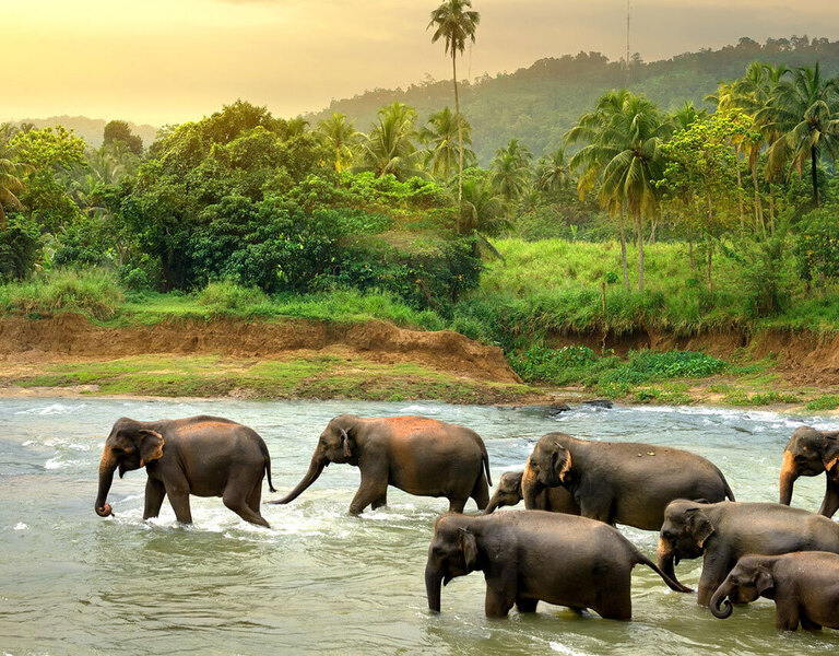 Luxury Sri Lanka Holidays