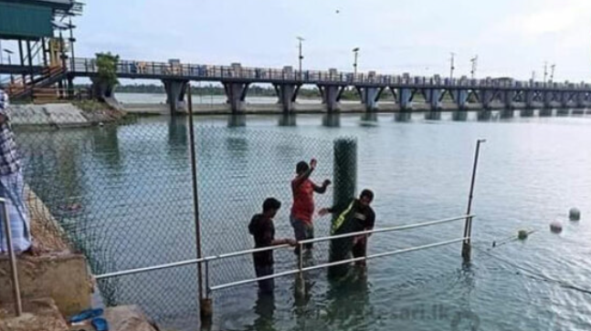 தொண்டைமானாற்றில் இருக்கும் முதலைகளின் அச்சுறுத்தலுக்கு இரும்பு கம்பி வேலி