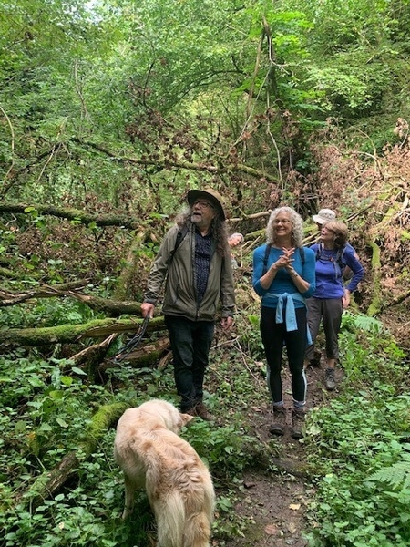 Walking into Quietness