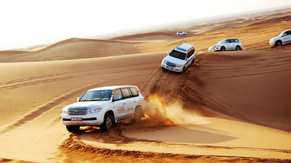 Gallery | Desert Tigers Tourism L.L.C | Dubai Safari 4x4 Tour Packages | Dubai Safari Quad Bike Tours | Dubai City Tours Camel Rides