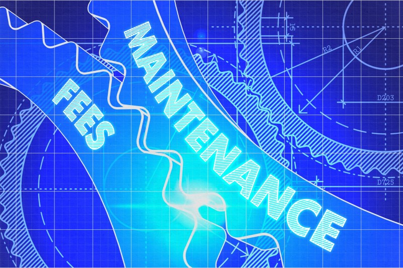 Timeshare Maintenance Fees - Legal Advice