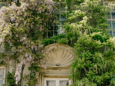 wisteria over the doorway of Hamswell House wedding venue