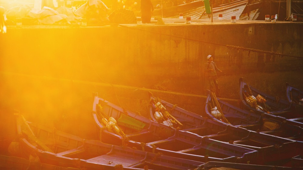 ஒளிபாய்ச்சி சுருக்குவலைத தொழிலில் ஈடுபட்டடோருக்கு அபராதம்