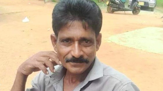 மடு பிரதேசத்தில் காட்டுக்குள் சென்றவர் யானை தாக்கி ஸ்தலத்திலேயே  மரணம்