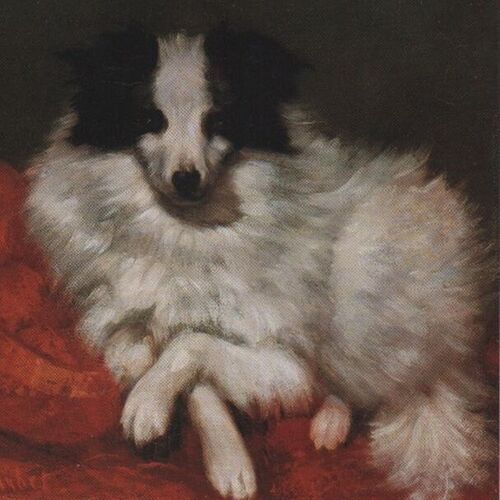 Sitting on Cushions Dog