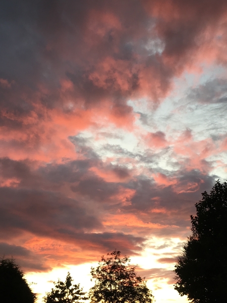 *ON THE BRIGHT SIDE OCTOBER 2022*