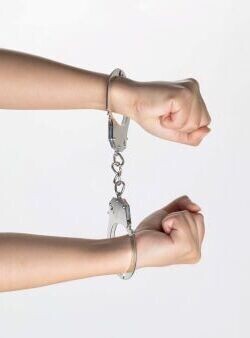 பலவகைச் செய்தித் துணுக்குகள்