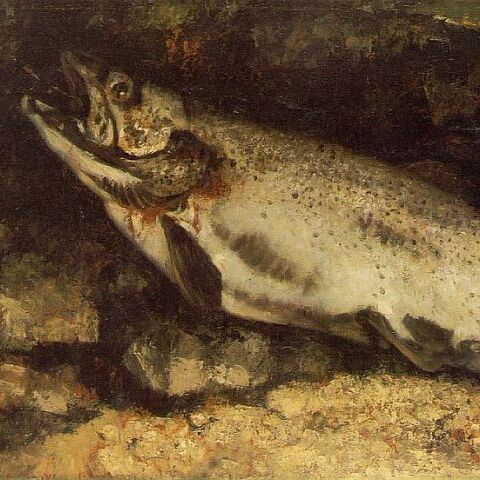 The Trout