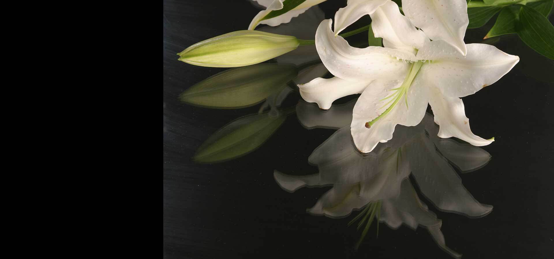 Direct Cremation Newport