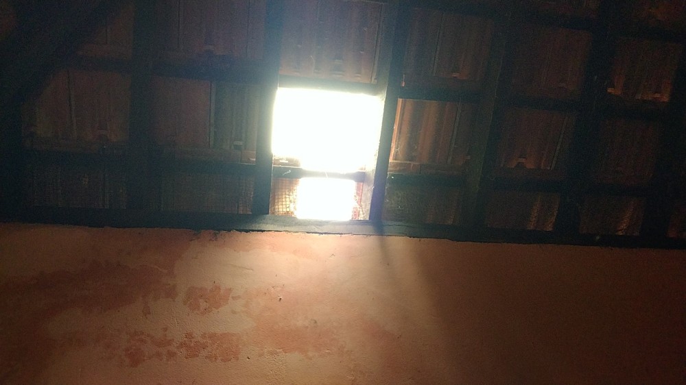 சேதாராமற்ற திருட்டு