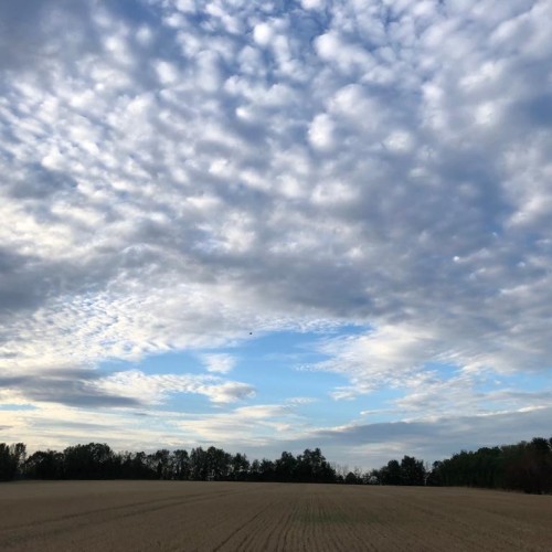 Where Neurodiversity Meets Mental Health