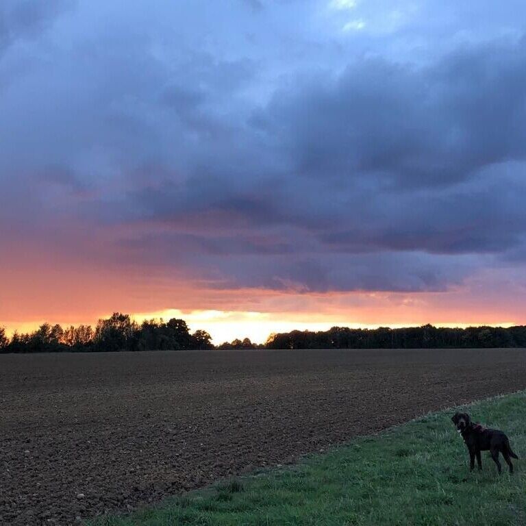 Where Neurodiversity Meets Mental Health