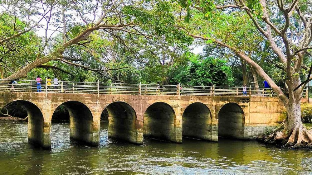 மன்னார் கட்டுக்கரைக்குளத்தின் கீழ் காலபோகம் செய்ய உத்தேசம்