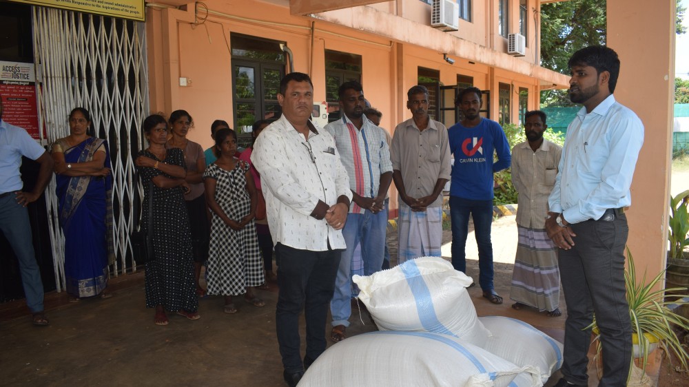 'மெசிடோ' றிறுவனம் விதை நெல் விநியோகம்