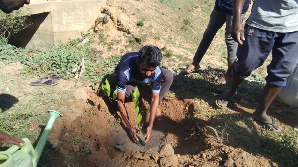 அழகுபடுத்தும் திட்டம்