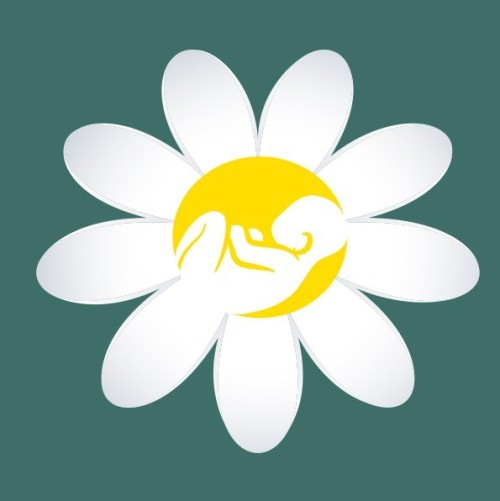 What Daisyscan is all about...