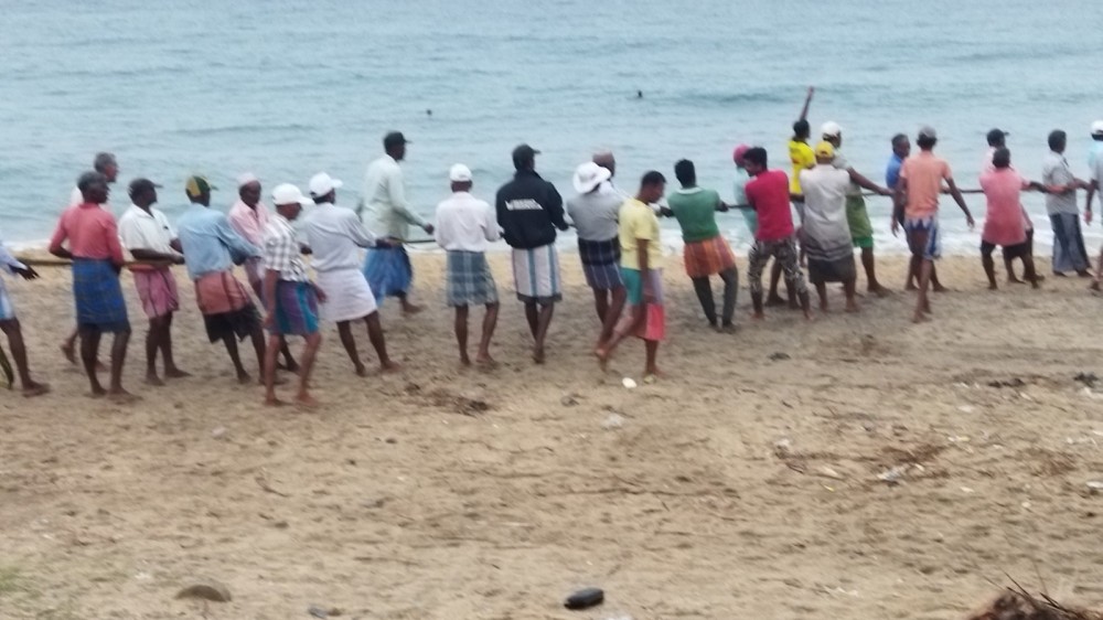 அமோக மீன்பிடி