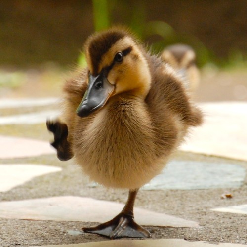 Parenting When You Have ADHD