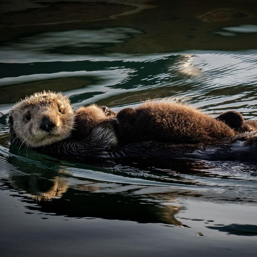 Parenting When You Have ADHD