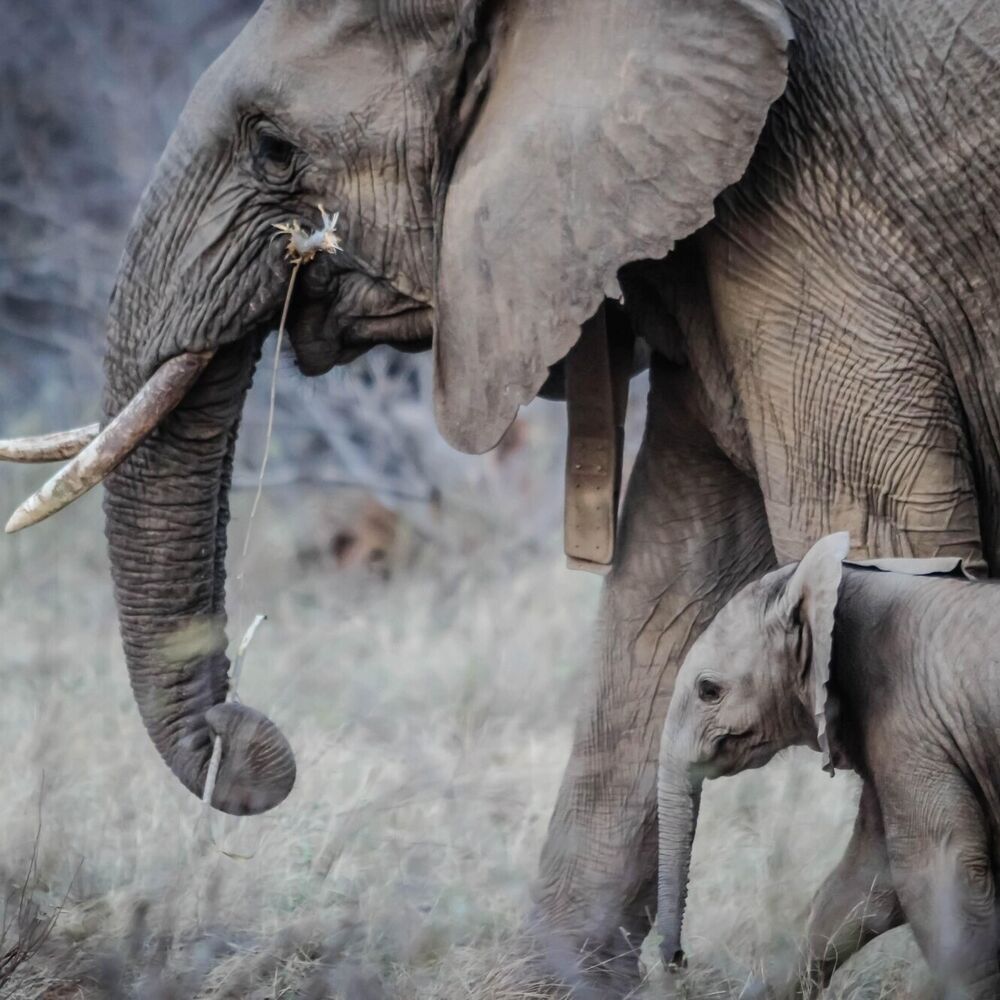 Parenting When You Have ADHD