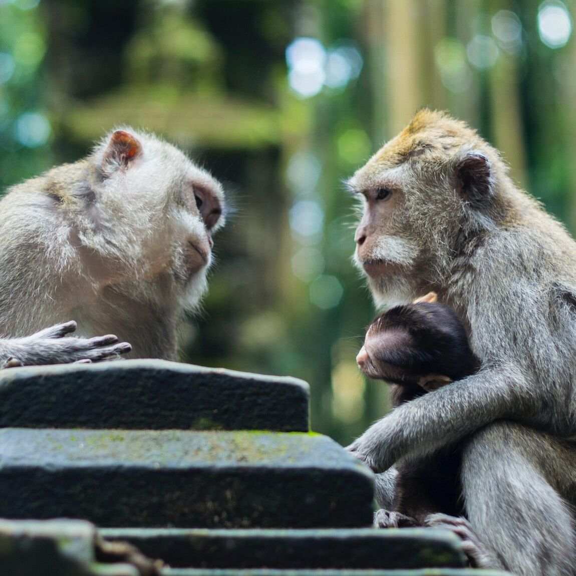 Parenting When You Have ADHD