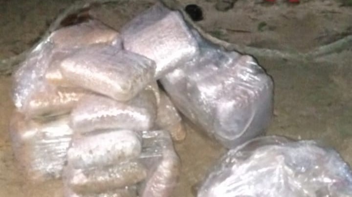 கைப்பற்றப்பட்ட கேரள கஞ்சா