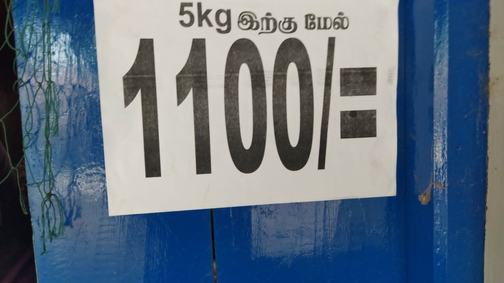 எகிறிய விலையில் வீழ்ச்சி